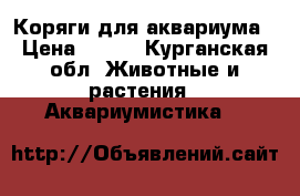 Коряги для аквариума › Цена ­ 240 - Курганская обл. Животные и растения » Аквариумистика   
